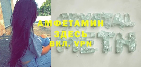 индика Алексин