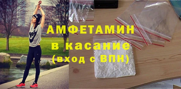 индика Алексин