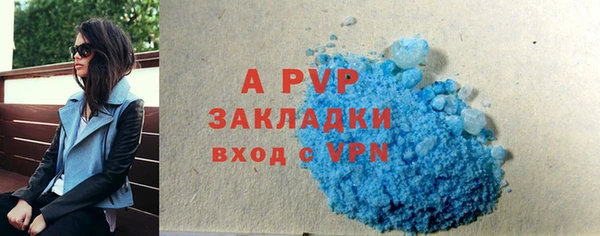 индика Алексин
