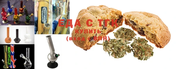 индика Алексин
